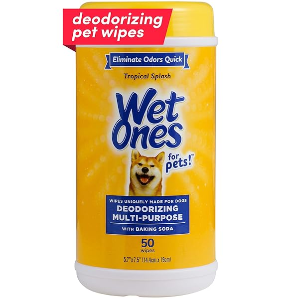 WET ONES FOR PETS DEODORIZING MULTIPURPOSE DOG WIPES...