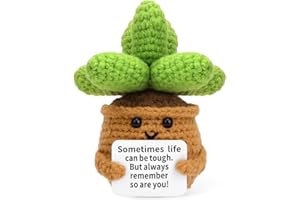 Megele Crochet Positive Succulent Plant Thank You Gifts for Birthday Handmade Emotional Support Gifts for Women Men Dad Husband Grandpa Friends Coworkers Cute Desk Decor