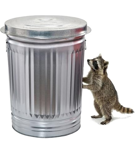 Amazon.com: Witt Industries Galvanized Steel Garbage Can, Heavy