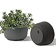 T4U 8 Inch Plant Pots, 2 Pack Self Watering Planter with Drainage Hole, Shallow Plant Pot Indoor, Home Decor Flower Pots for Plants, Cactus, Garden, Gray