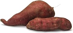 Organic Japanese Sweet Potato