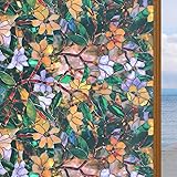 Amazon.com: Hummingbird & Flowers - Etched Vinyl Stained ...