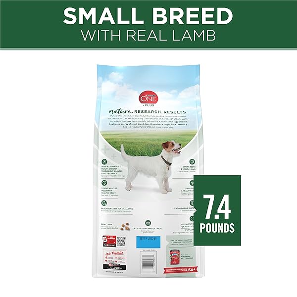 PURINA ONE PLUS SMALL BREED LAMB AND RICE FORMULA DRY DOG FOOD – 7.4 LB. BAG