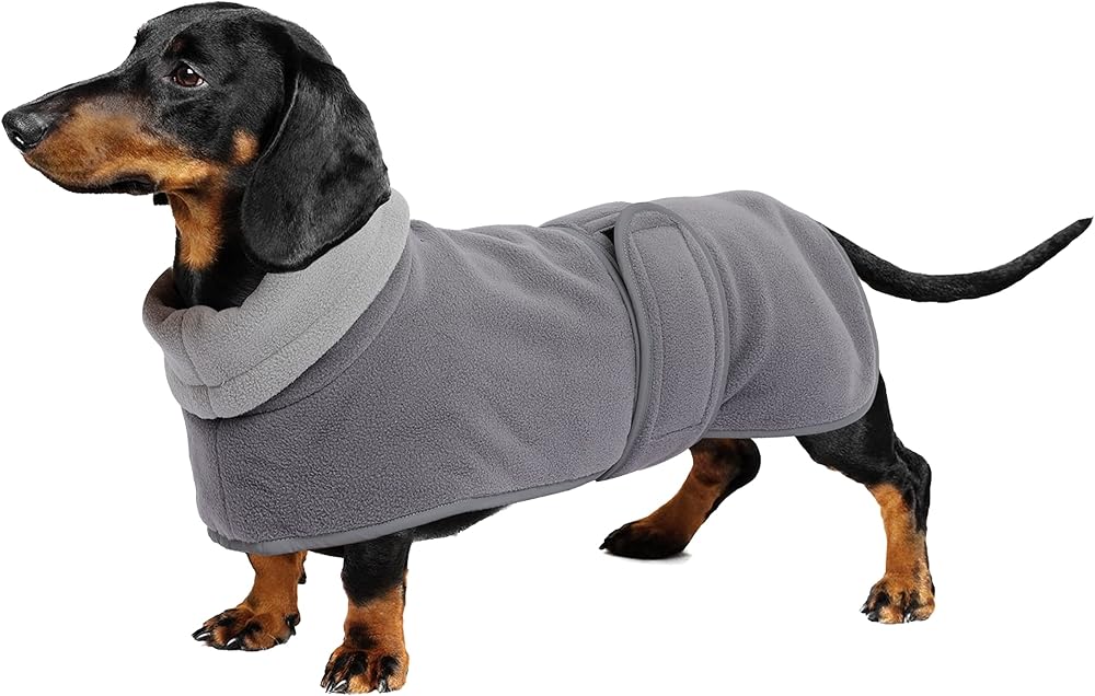 Geyecete Dachshund Coat with Warm Thermal Quilted Gray M