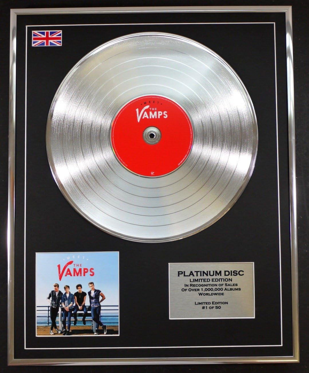 THE VAMPS/LTD EDITION CD PLATINUM DISC/MEET, Silver, 20 x 16 inches