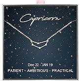 ALoveSoul 925 Sterling Silver Constellation Horoscope Zodiac Necklace, Birthday Gifts for Women