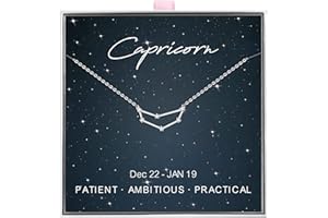 ALoveSoul 925 Sterling Silver Constellation Horoscope Zodiac Necklace, Gift for Women Girls