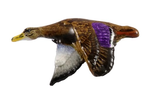 Pintado de~Patito negro~~del imán del refrigerador BP015M: Amazon ...