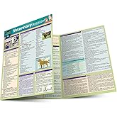 Veterinary Assistant: a QuickStudy Laminated Reference Guide