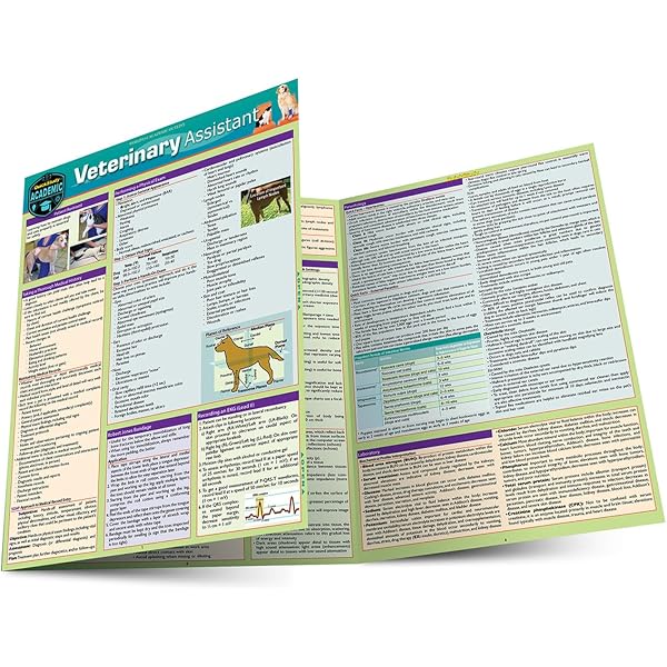 Introduction to Veterinary Medicine Made Easy: Cheat Sheet Rhymes
