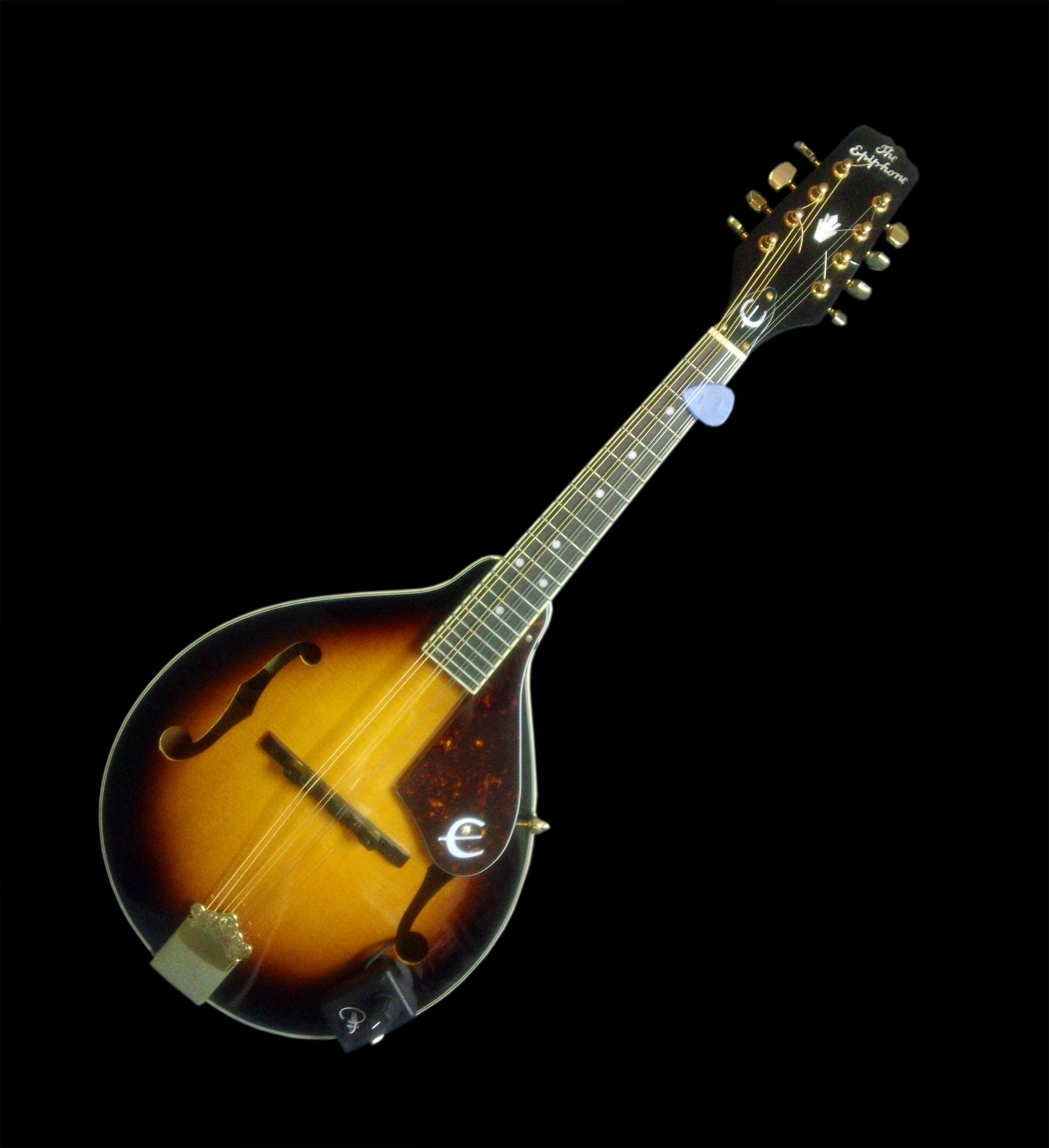 Mua Myers Pickups Mandolin Pickup with Flexible MicroGooseneck trên Amazon Mỹ chính hãng 2024