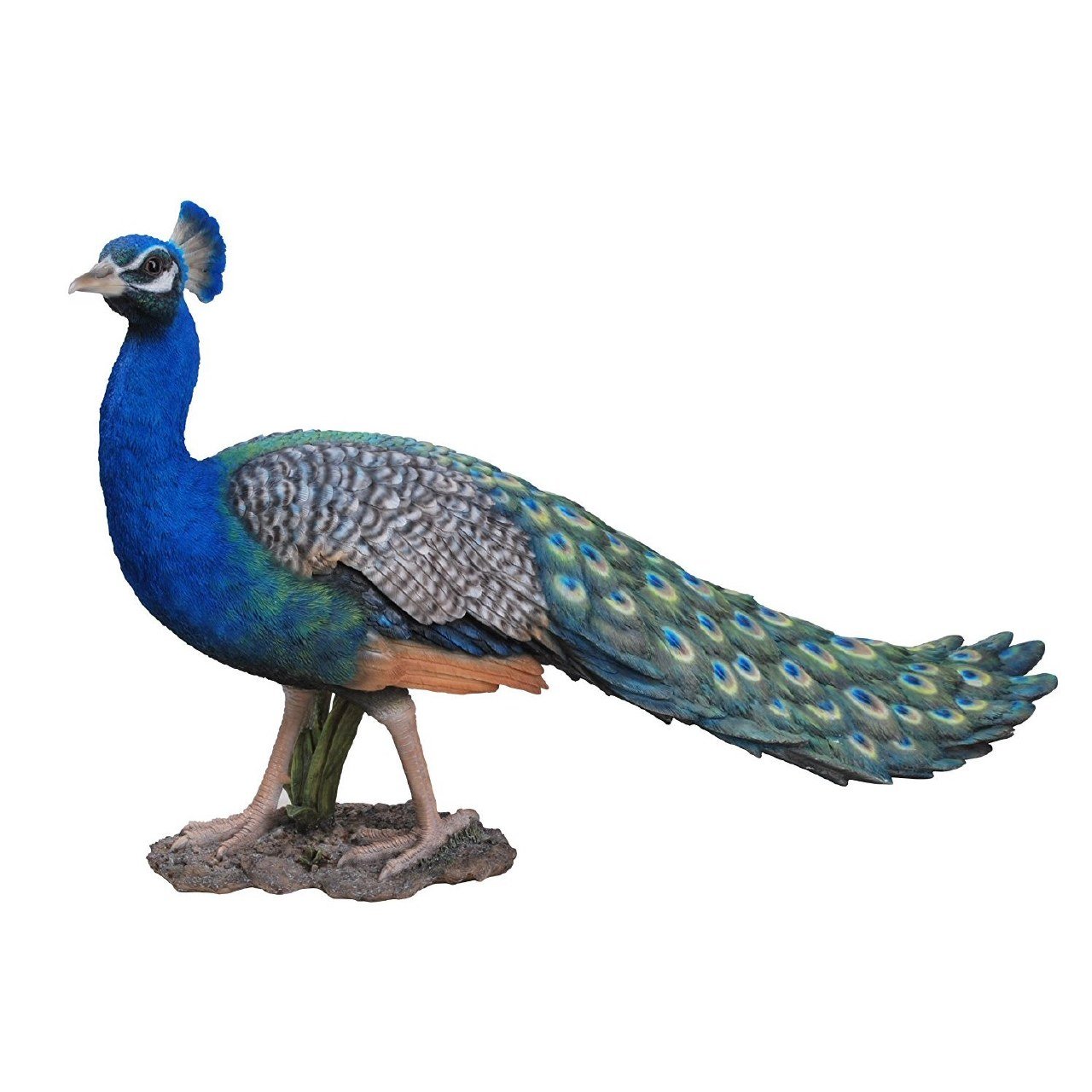 Vivid Arts Peacock Resin Ornament