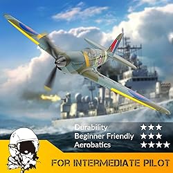 Fremego RC Plane RTF 4-CH RC Airplane Remote