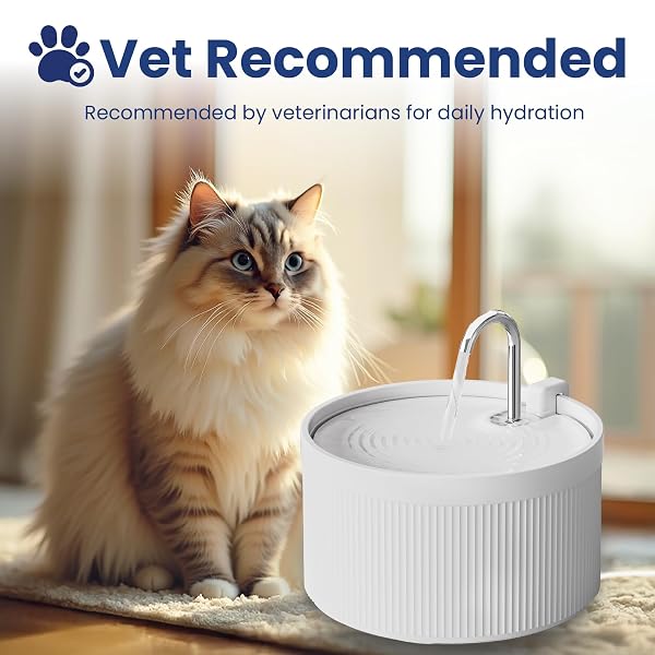 PAWSPIK CERAMIC SERENITY PET WATER FOUNTAIN – FAUCET-STYLE SPOUT, QUIET MOTOR, 5-LAYER FILTER – BPA-FREE CERAMIC BOWL FOR DOGS & CATS, 9-CUP, WHITE