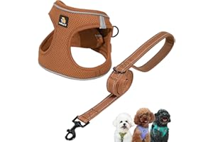 BELLA & PAL Puppy Harness with Leash Set, Dog Harness for Small Dogs No Pull, Dog Leash for Puupy, Step in Harness for Extra 