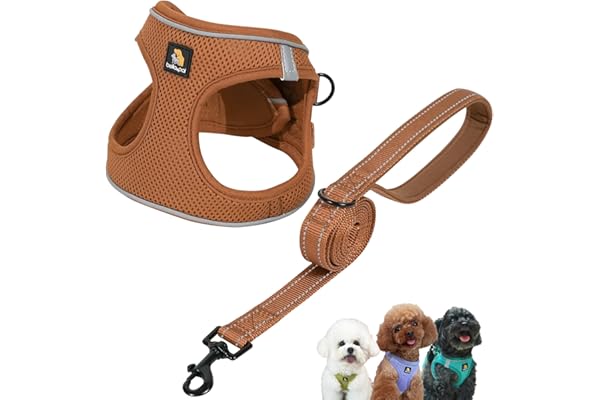 BELLA & PAL Step in Puppy Harness and Leash Set (Mokka, S) | Breathable Air Mesh Vest Harness for Small Dogs, Lightweight, No