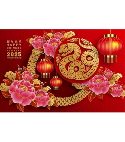 ステージフォト Amazon.com : 5x3ft Red Happy Chinese New Year Decorations