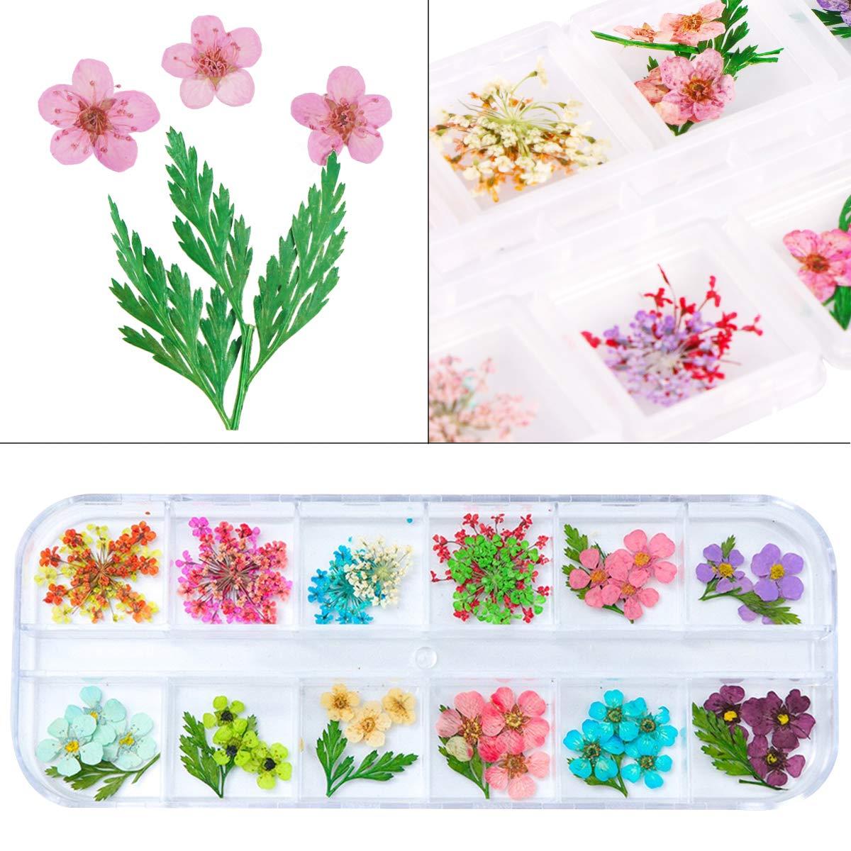 2 Boxes Dried Flowers for Nail Art, KISSBUTY 24 Colors Dry Flowers Mini Real Natural Flowers Nail Art Supplies 3D Applique Nail Decoration Sticker for Tips Manicure Decor (Gypsophila Flowers Leaves): Beauty