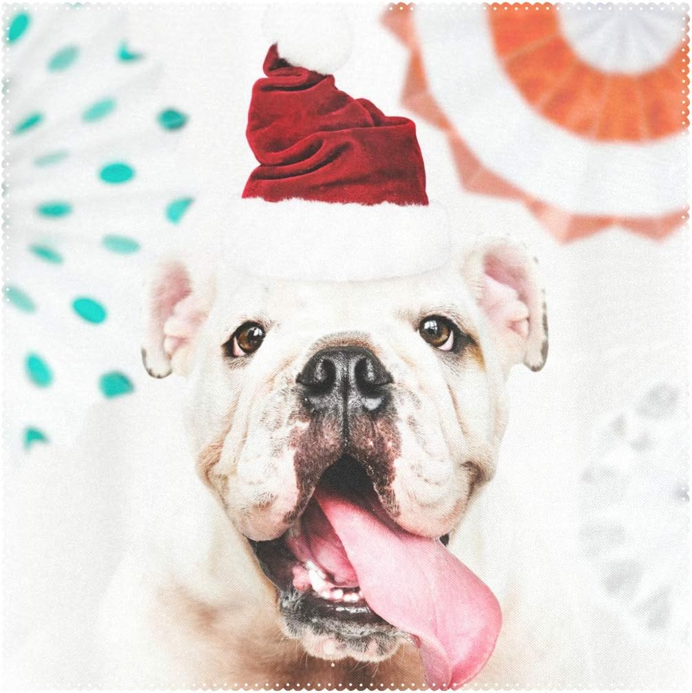 santa bulldog