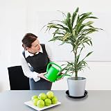 Kunjocy Pack of 5 Black Plant Pot Saucers 30 cm Round Tray Garden Indoor Outdoor view 6