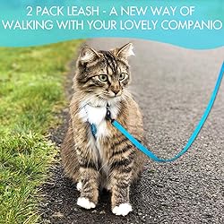 DOYOO 2 Pack Puppy Dog Leash Cat Leash, Strong and