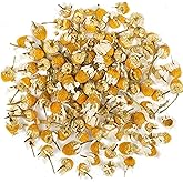 Organic Chamomile Flowers - 1 lb (16oz) - Herbal Tea - 100% Organic - Flor de Manzanilla - EarthWise Aromatics