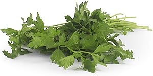 Organic Italian Parsley, 1 Bunch