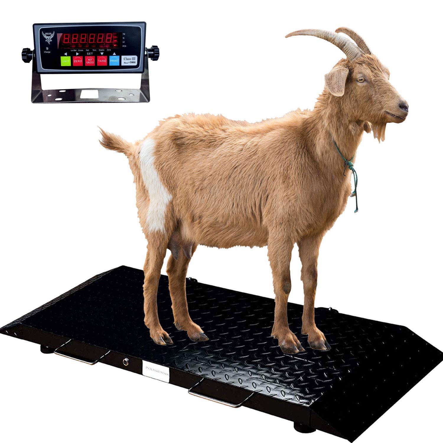 PEC Livestock Animal Scales, Medium Size Animals Vet Scale