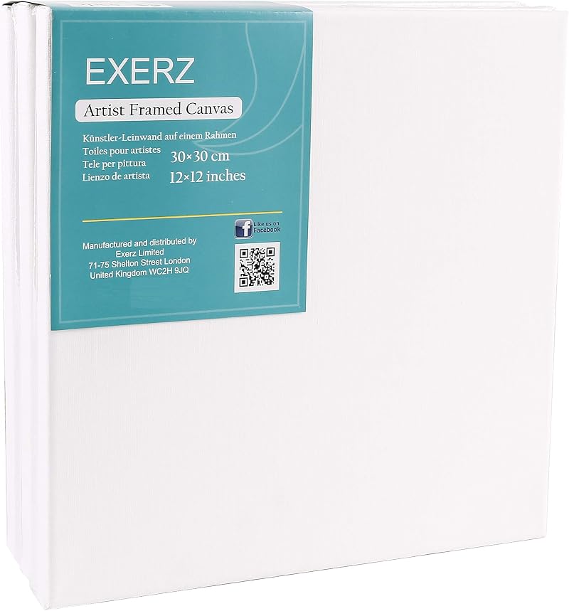 EXERZ 30x30cm Framed Canvas 5pk 1.7cm Pre-Stretched 280GSM 100% Cotton