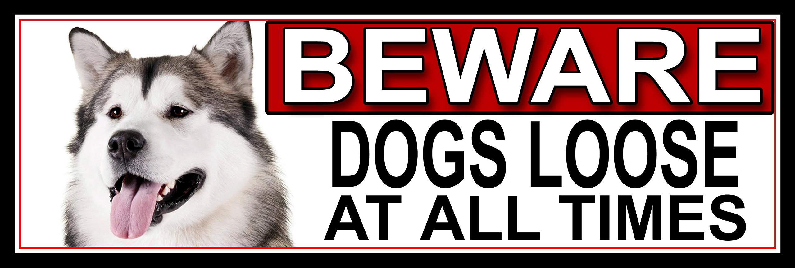 SHAWPRINT Alaskan Malamute BEWARE DOGS LOOSE AT ALL TIMES METAL GATE SIGN 266mm x 87mm. (357H2)