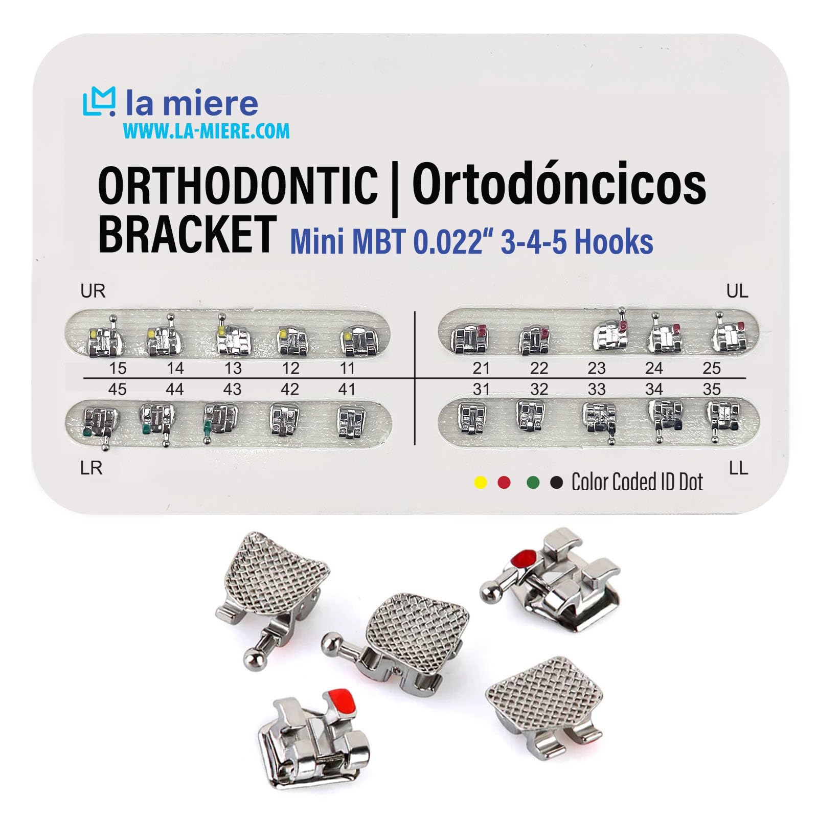 20PCS Teeth Model Braces, Typodont Brackets, 0.022