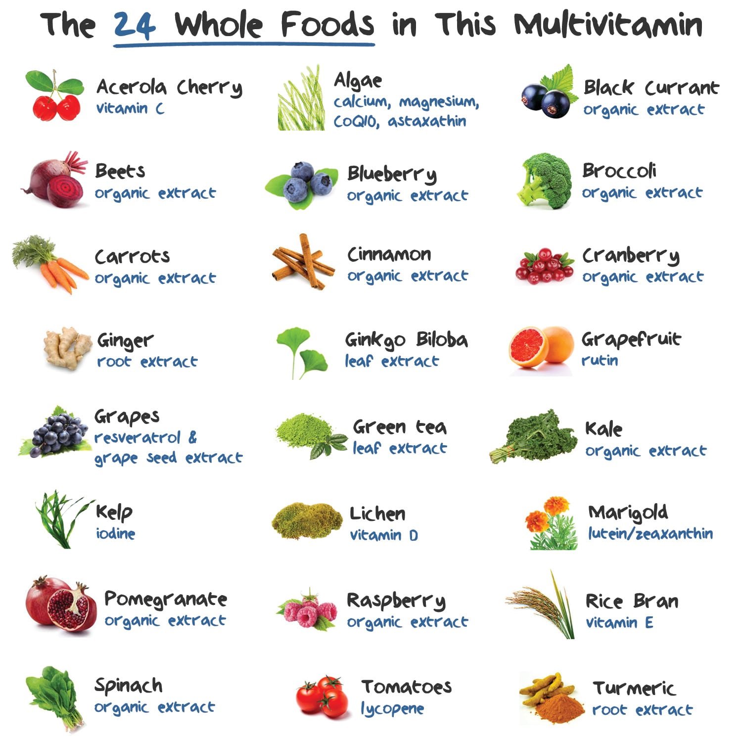 NATURELO Whole Food Multivitamin for Women 50+ (Iron Free ...