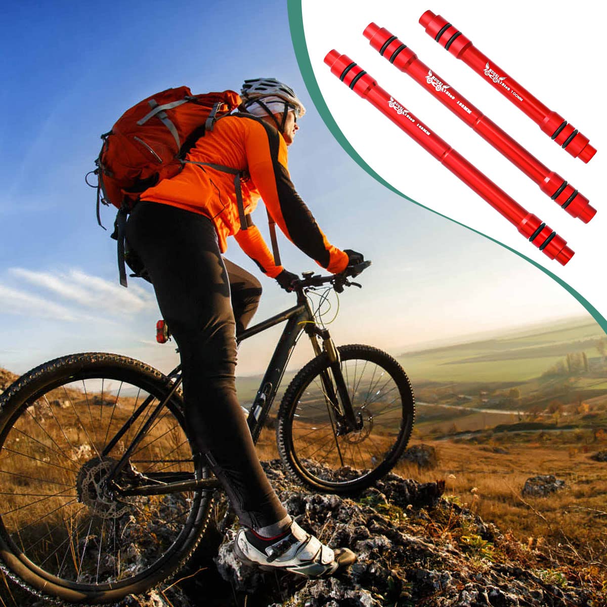 View 5
