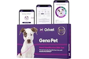 ORIVET GenoPet Dog DNA Test Kit | Vet-Approved | Identify 365+ Dog Breeds | Canine Ancestry & Genetic Health Traits | at-Home Swab | Results in 21–25 Days from Kit Arrival