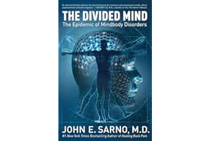 The Divided Mind: The Epidemic of Mindbody Disorders