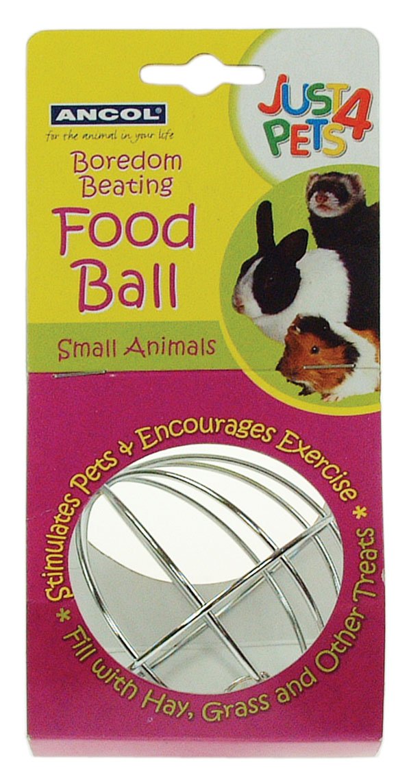 Ancol Just 4 Pets Food Holder Ball Toy, clear