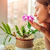 Riare 300g Natural Sphagnum Moss for Plants 12L Long-Fibered Orchid Moss view 8