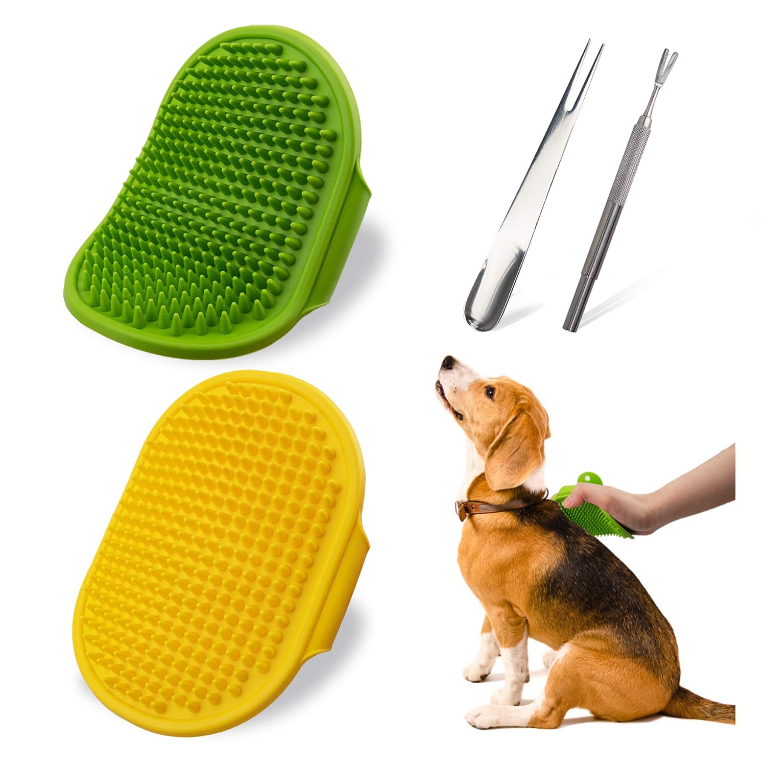 bath and brush pet grooming