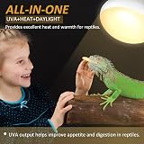 Caldarax 2 Pack 75W Reptile Heat Lamp E27 Daylight Bulb UVA Bearded Dragon view 3