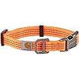Carhartt Fully Adjustable Nylon Webbing Collars for Dogs, Reflective Stitching for Visibility, Hunter Orange (Nylon Webbing), Large
