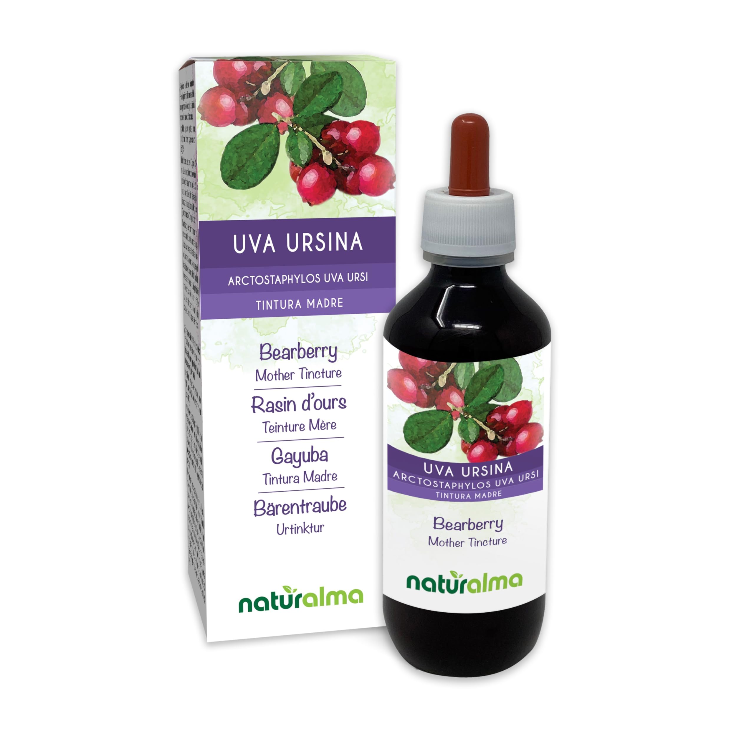 Bearberry (Arctostaphylos uva Ursi) Leaves Alcohol-Free Mother Tincture Naturalma - Liquid Extract Drops 200 ml - Food Supplement - Vegan