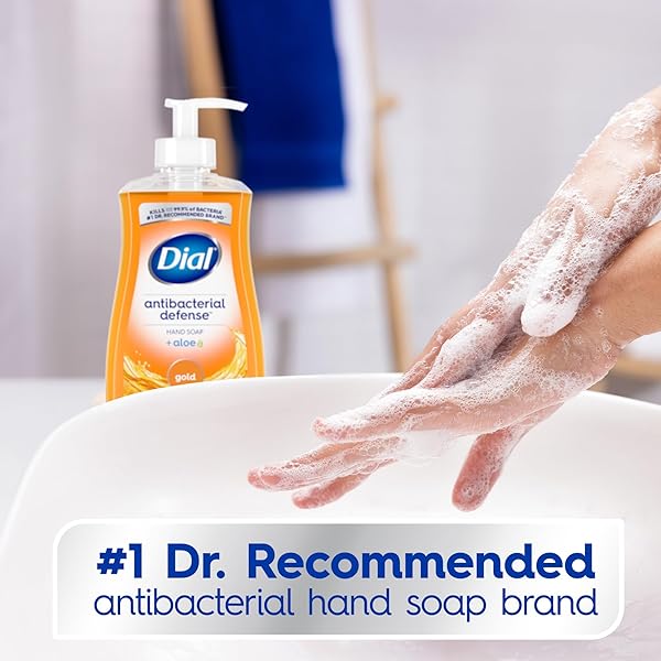 DIAL ANTIBACTERIAL LIQUID HAND SOAP, GOLD, 11 FL OZ