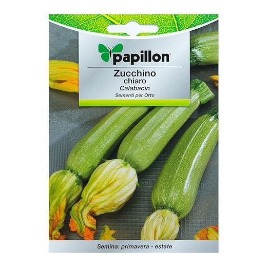 Semillas Calabacin Claro (5 Gramos): Amazon.es: Jardín