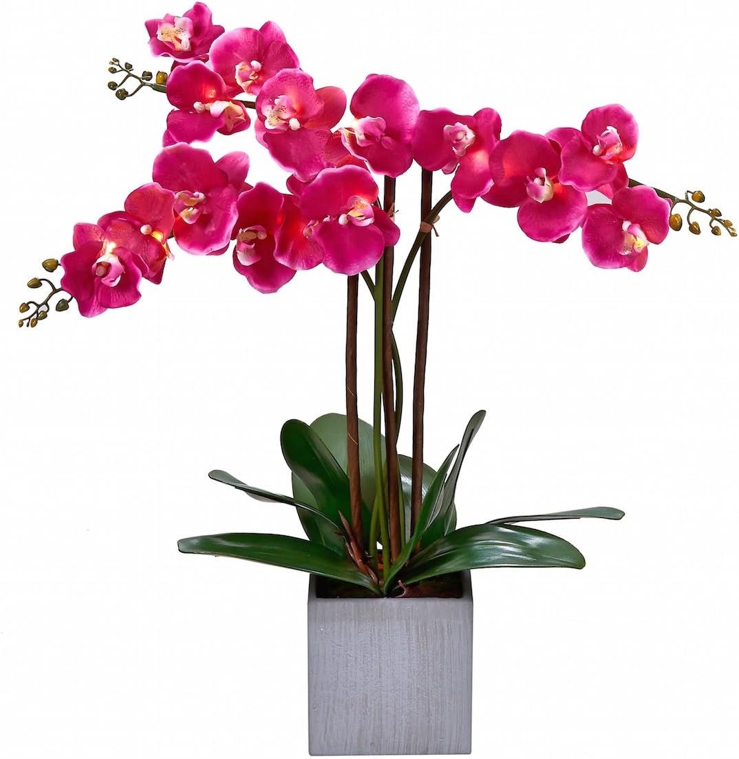 Homeseasons LED Lighted Artificial Triple-Stem Phalaenopsis Orchid Arrangement (Purple)