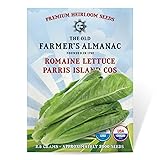 The Old Farmer's Almanac Heirloom Romaine Lettuce