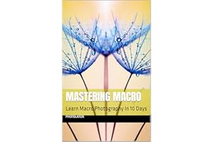 Mastering Macro: Learn Macro Photography in 10 Days