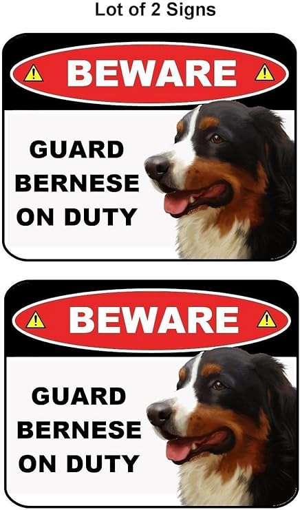 amazon commercial with bernese mountain dog