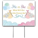 Amazon Com Tees Tails He Or She What Will It Be 12 X 18 Indoor Outdoor Gender Reveal Lawn Sign Stake Easel Back Included Garden Outdoor