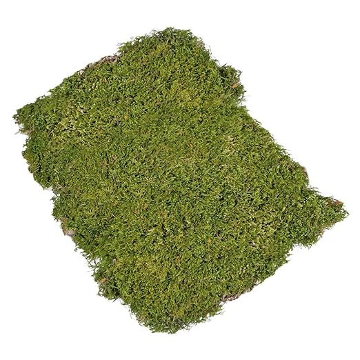 Bastelmoos 100 g