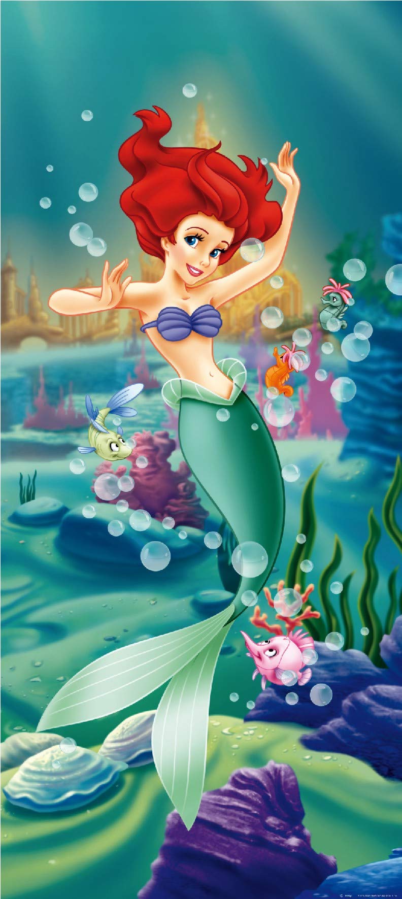 Disney AG Design Non-Woven Kids Princess Giant Wall Poster, FTDNV 5410, Multi-Colour, 90 x 202 cm